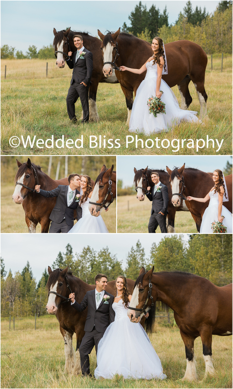 wedding-photography-in-vernon-wedded-bliss-photography-www-weddedblissphotography-com-60